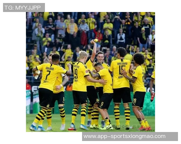 拉马伊租约无买断条款赛季结束后将重返多特蒙德 拉马伊租约无买断条款赛季结束后将重返多特蒙德